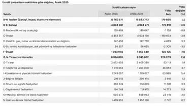 TÜİK istihdam grafiği