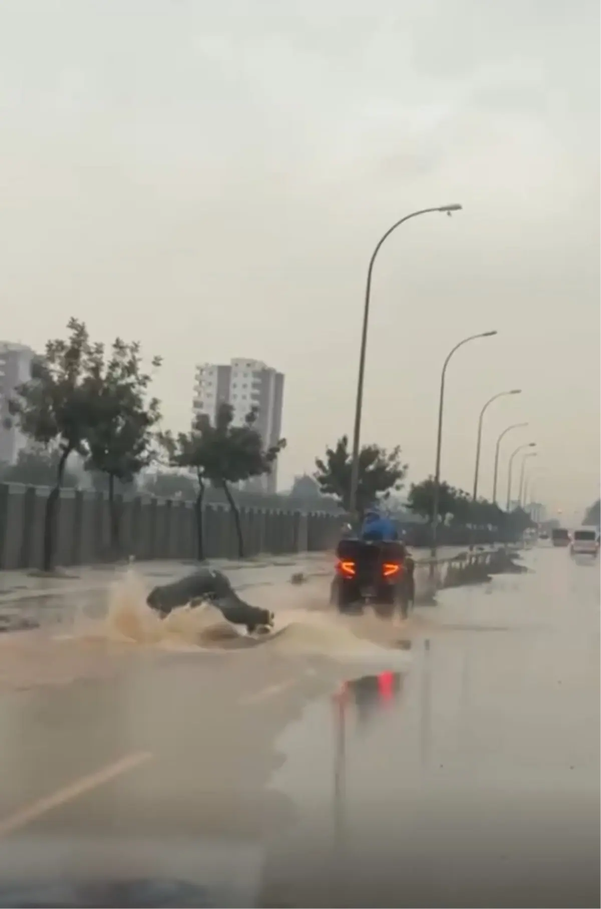Adana’da su dolu cadde ve sörf yapan kişi