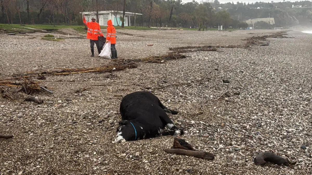 Antalya’da Şiddetli Sağanak Sonrası Sel Felaketi ve Geniş Yıkım
