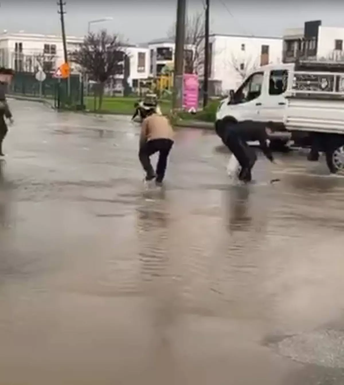 Bodrum'da Ani Sel Sel: Gölet Taştı, Balıklar Sokaklarda