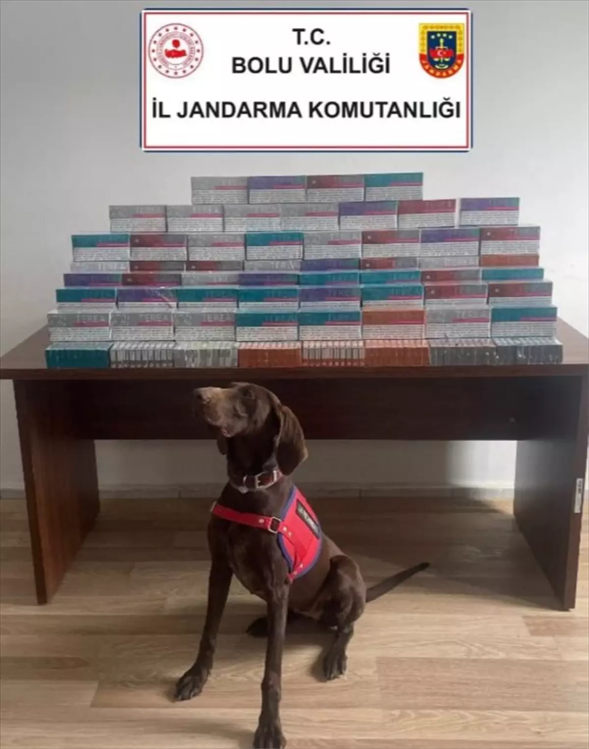 Bolu’da 574 Gramlık Uyuşturucu ve 36 Bin Elektronik Sigara Kiti Ele Geçirildi