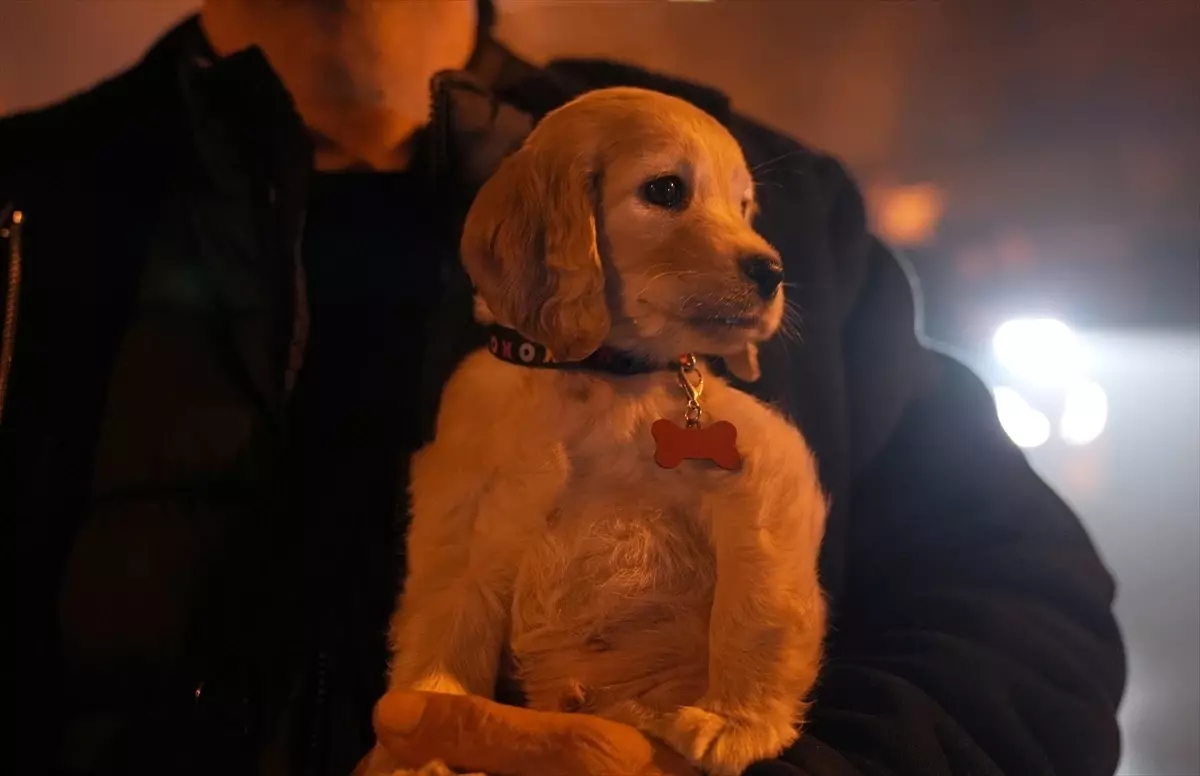 Kağıthane İş Hanında Çıkan Yangın Sonrası 11 Kişi Güvenli Bölgeye Çıkarıldı