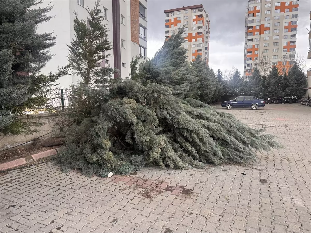 Kocasinan’da Şiddetli Fırtına Şehirde Geniş Hasara Yol Açtı
