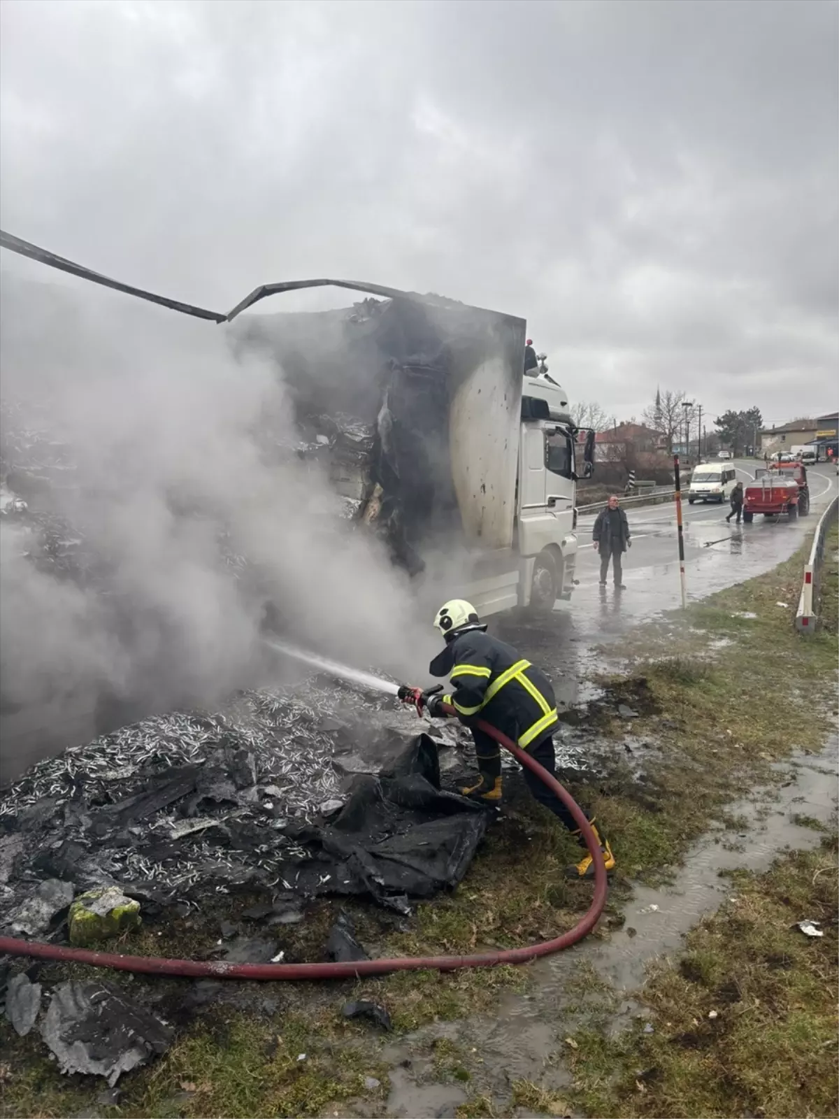 Kırklareli'de Hamsi Yüklü Tır Yangını: Maddi Hasar ve Trafik Sorunları