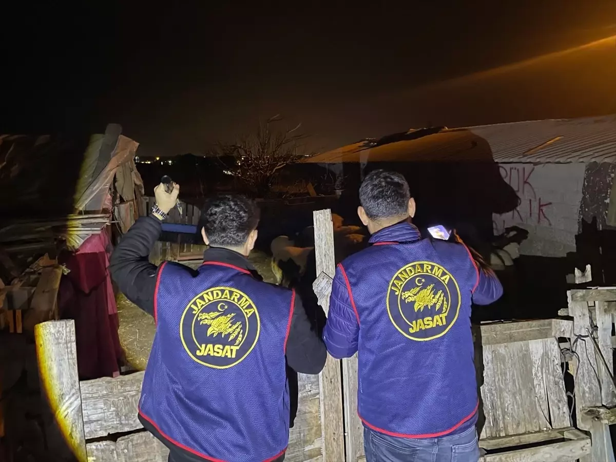Manavgat’ta Küçükbaş Hayvan Hırsızlığı Operasyonu Sonuçlandı