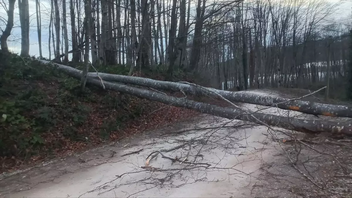 Ordu’da Şiddetli Fırtına 11 Evin Çatısını Uçurdu