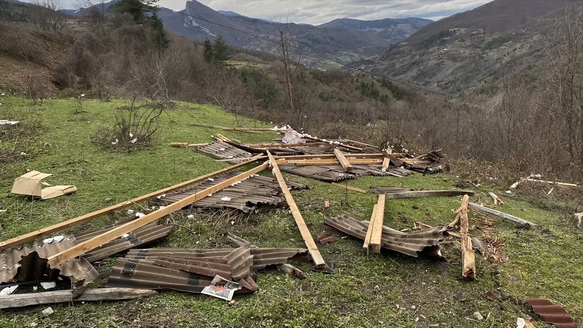 Türkeli’de Kuvvetli Rüzgar 10 Arı Kovanını Uçurdu