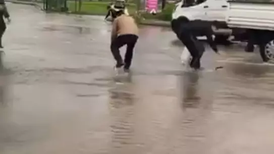 Göletin taşması sonrası yollarda yüzen balıklar