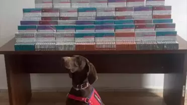 Operasyon sırasında ele geçirilen maddeler