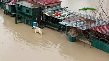 İzmir'de su birikintileri nedeniyle hasar gören yollar
