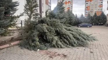 Fırtına sonrası Kocasinan sokak görüntüsü