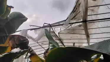 Mersin fırtına sonrası hasar fotoğrafı