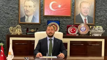 Kesilen zeytin ağaçları bölgesi