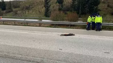 Kaza sonrası otoyol görüntüsü