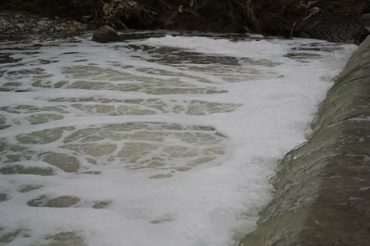 Gebze’de Kocagöl Deresi’nde Köpük ve Yoğun Koku Halkı Endişelendiriyor