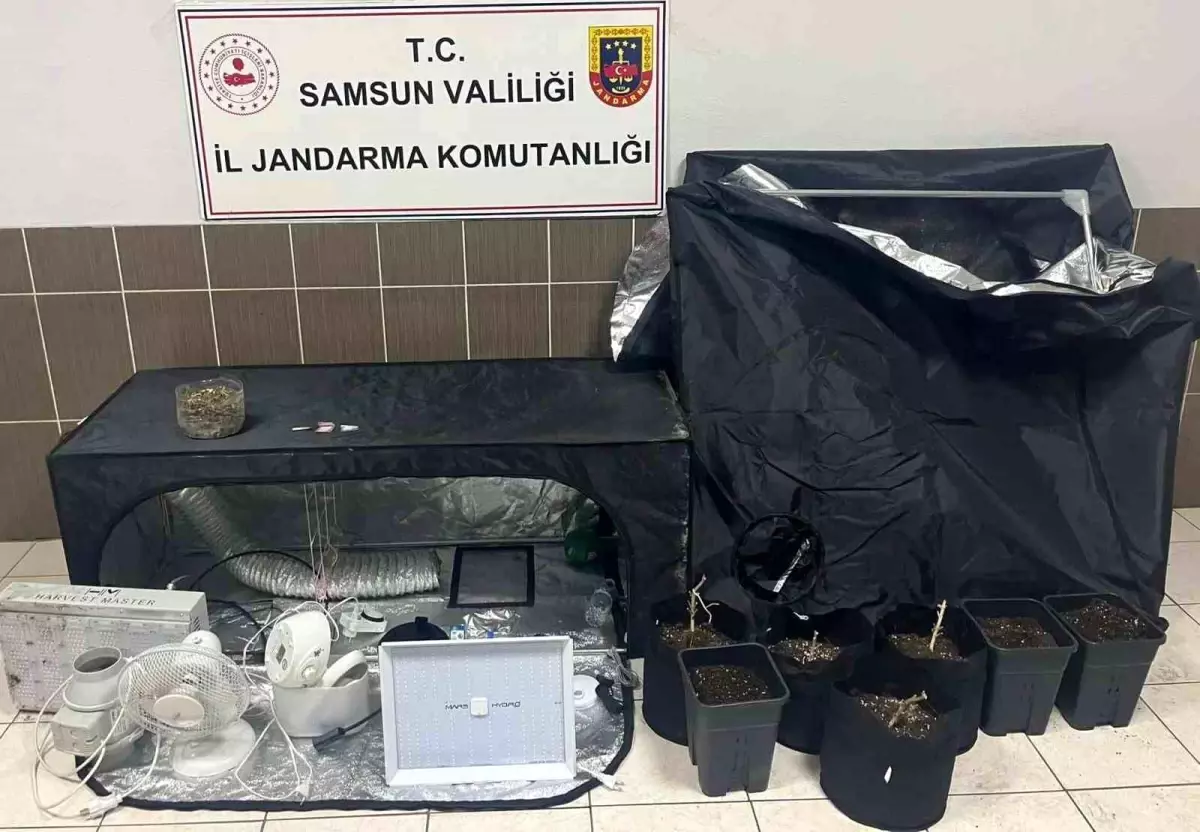 Samsun’da Jandarma’dan Geniş Ölçekli Uyuşturucu Operasyonu