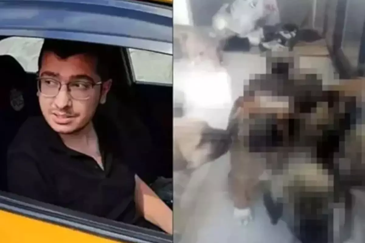 Doktorun Hayvan İstismarı Cezası 4 Yıla Düşürüldü