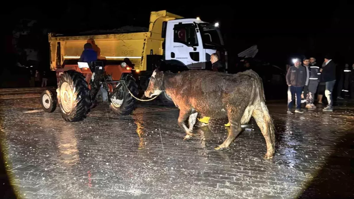 Seydikemer'de Eşen Çayı Taştı: 25 Ev Tahliye Edildi