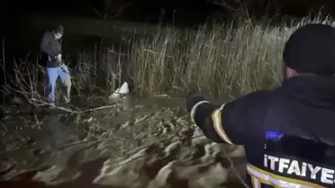 Sel sonrası kurtarılan araç