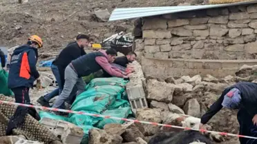 Kurtarılan hayvanlar