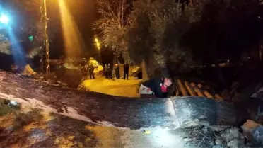 Devrilen ağaç kaldırıldı, yol tekrar açıldı