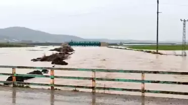 İslahiye'de Sağanak Yağışlar Evleri ve Tarım Alanlarını Sular Altına Çekti