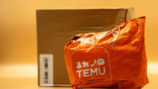 TEMU ürün çeşitliliği