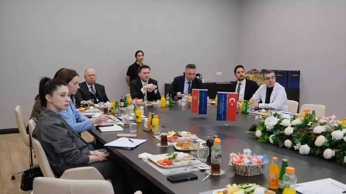 Karadağ Sağlık Bakanı Simun, Türkiye'de Biruni Üniversitesi'nde Sağlık İşbirliği Görüşmeleri Yaptı