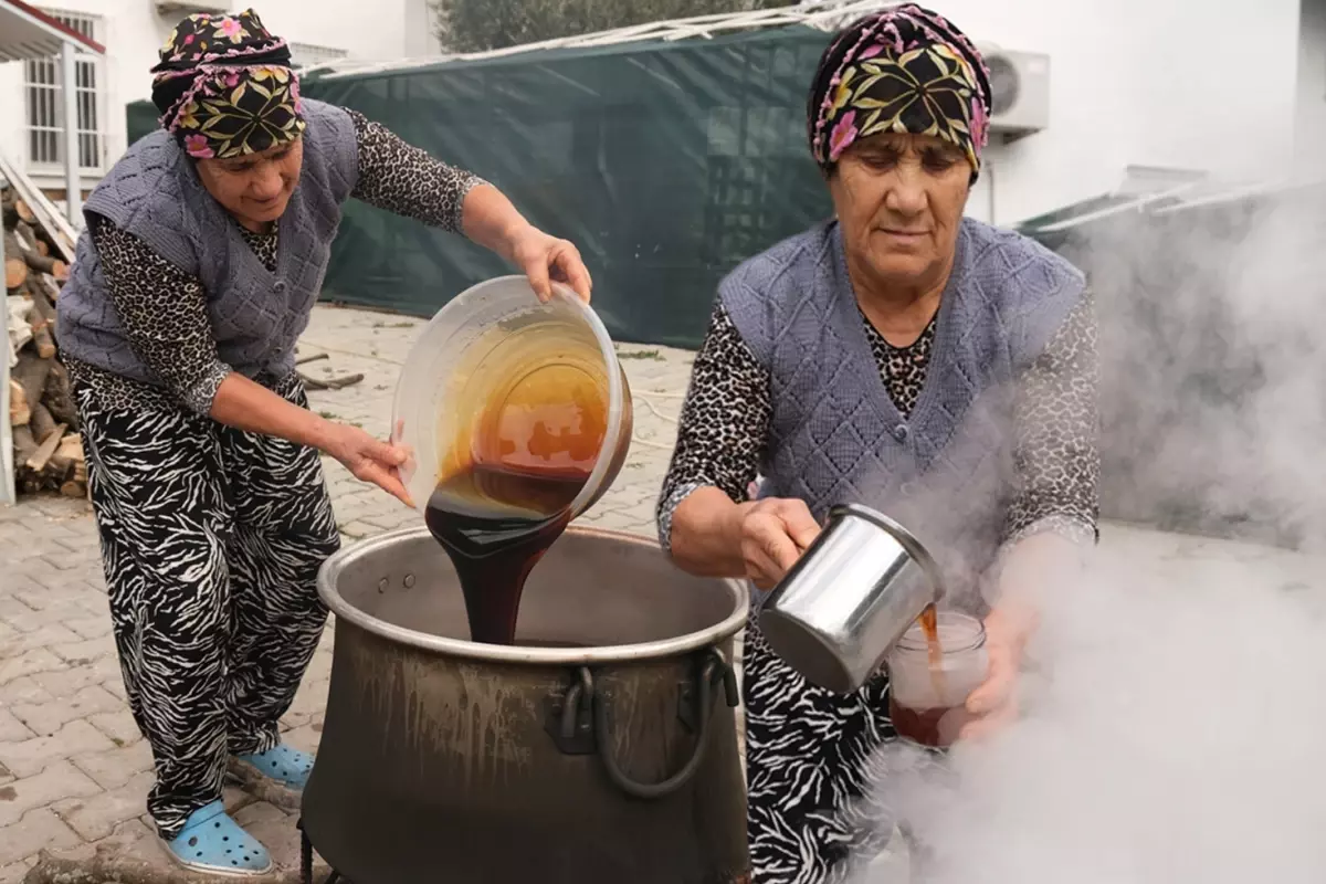 Ayvalık'ta Kadınların Elinden Çıkan Kozalak Şurubu: 4 Günlük Üretim, Doğal Şifa Kaynağı