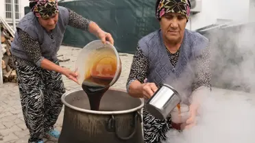 Ayvalık'ta Kadınların Elinden Çıkan Kozalak Şurubu: 4 Günlük Üretim, Doğal Şifa Kaynağı