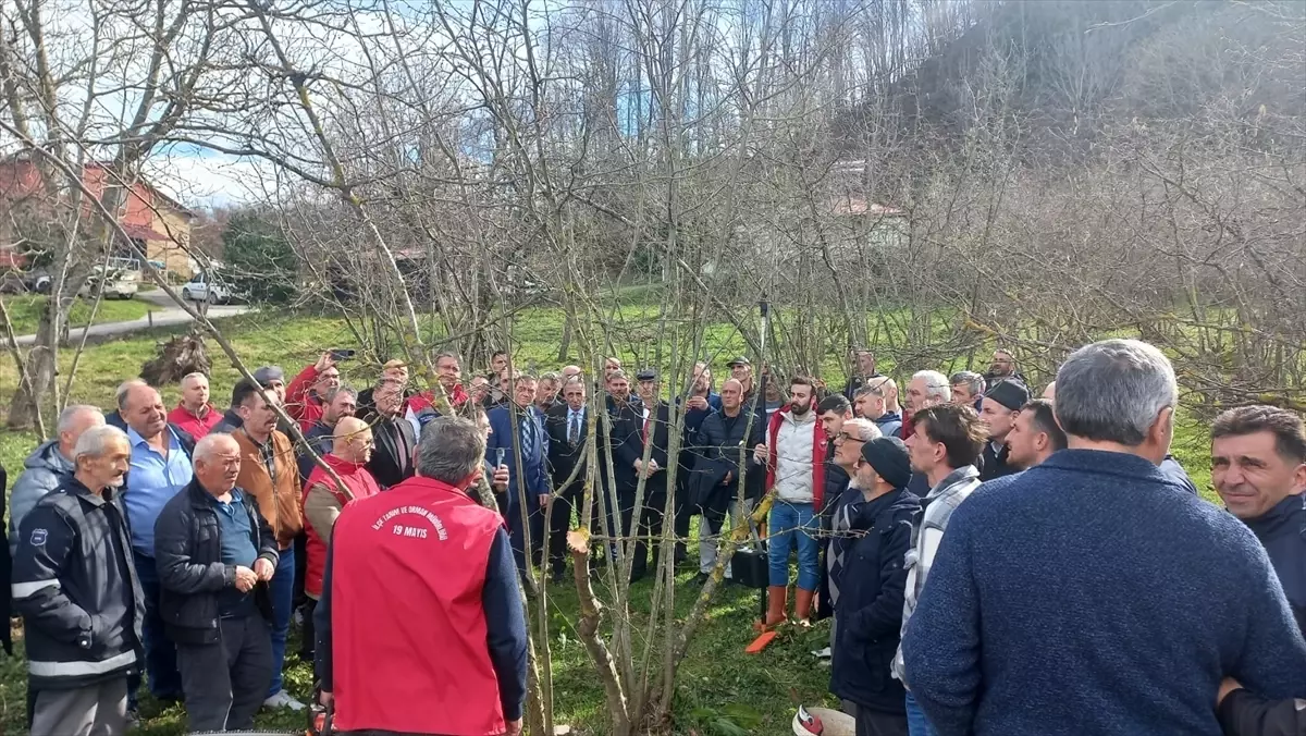 Samsun’da Fındık Budama ve Üretim Teknikleri Konulu Uzmanlar Toplantısı