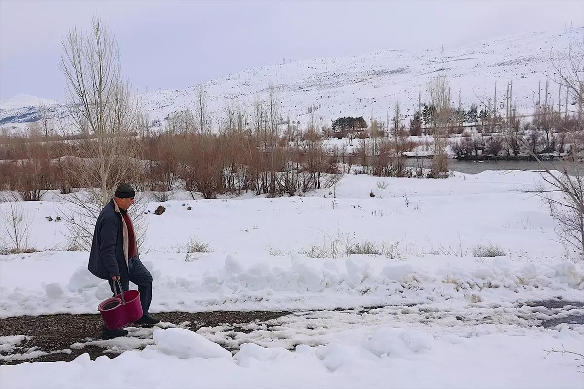 Bayburt’ta Kışın 10 Ton Hububatla Kuş Besleme Geleneği 10 Yıldır Sürüyor