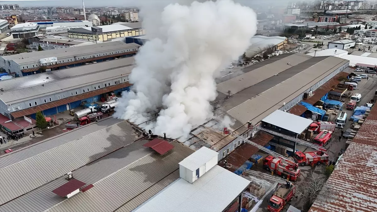 Altınordu’da Çıkan Yangın Kontrol Altına Alındı: İtfaiye Ekipleri Hızlı Müdahale Etti