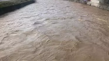 Bitlis Çayı taşarak evleri tehdit ediyor