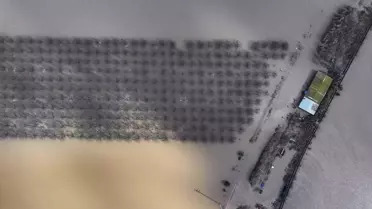 Menemen’de Gediz Nehri Taşması Tarım Alanlarını Sular Altına Sürükledi