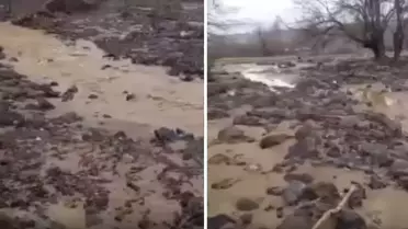 Bingöl Genç’te Şiddetli Sağanak Tarım Alanlarını Sular Altına Sürükledi