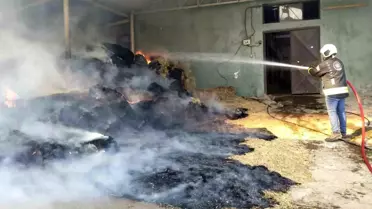 Kartepe yangını alanı