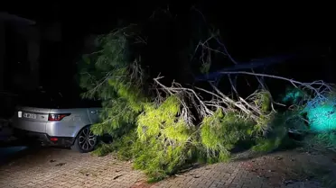 Marmaris’te Şiddetli Fırtına Ağaçları Yere Serdi, Bir Kişi Yaralandı