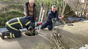 Edirne'de Su Deposu Kazasında Yavru Köpek 6 Saat Sonra Kurtarıldı