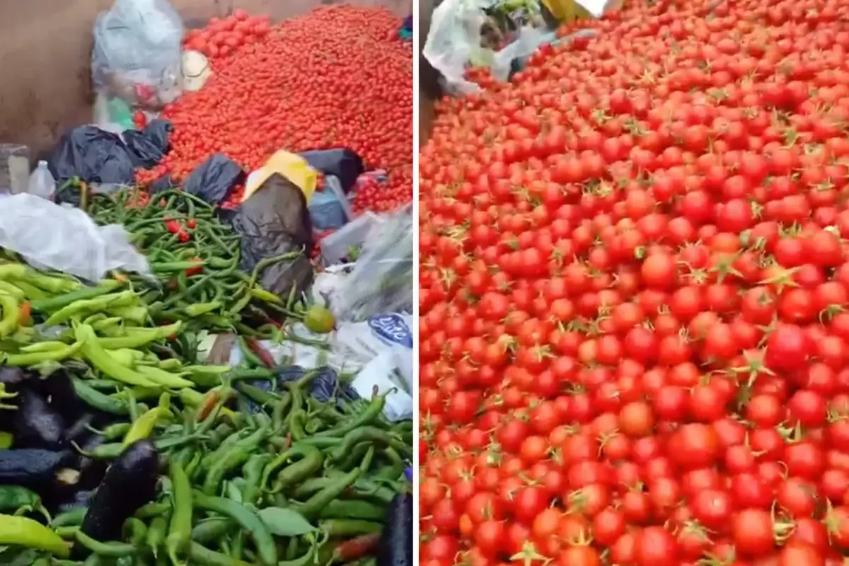 Antalya’da çöpe atılan sebzeler