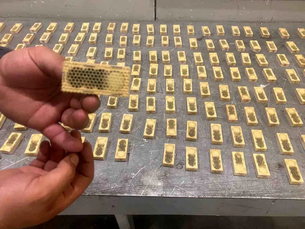 Gümrükte ele geçirilen canlı hayvanlar