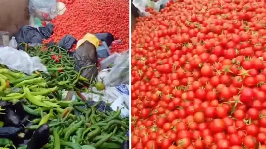 Antalya’da Çöpe Atılan Taze Sebzeler Vatandaşı Harekete Geçirdi