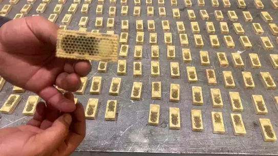 Gümrük Operasyonları 2025'te Canlı Hayvan Kaçakçılığına Çare Oldu