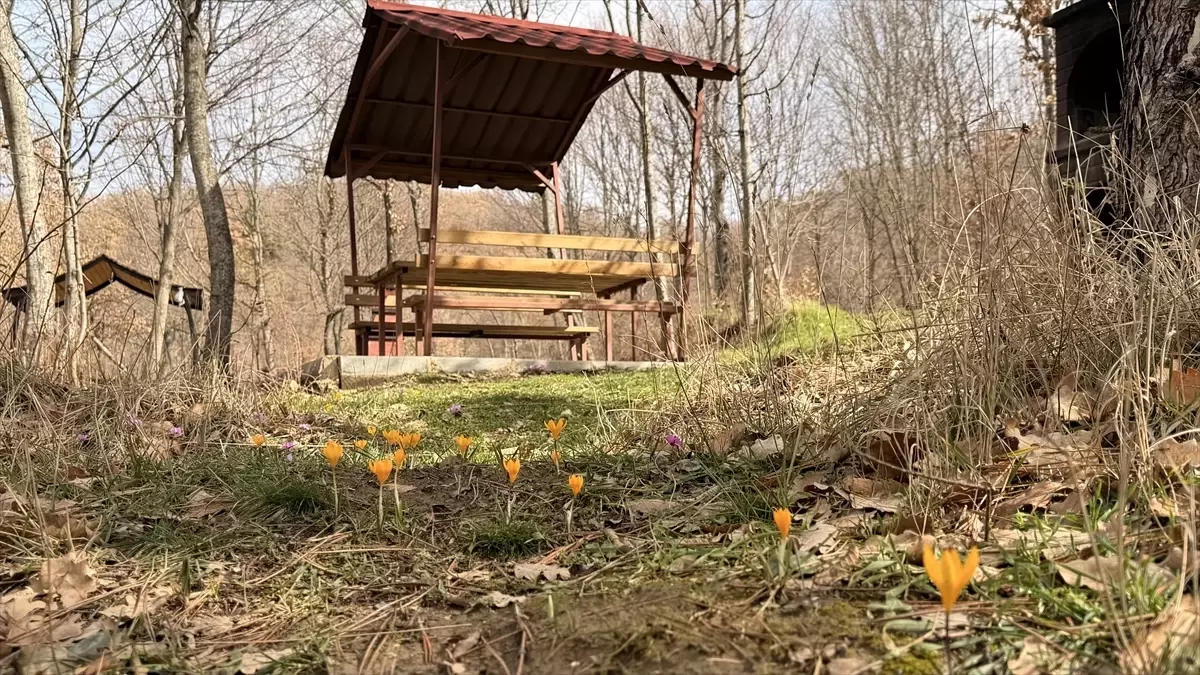 Yeşil Göl Baharı Karşılarken Renk Cümbüşü Yaşanıyor