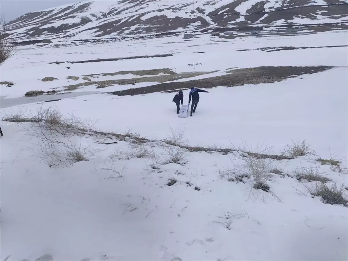 Van Erciş’te Yaban Kuşlarına 1,5 Ton Buğday Yardımı