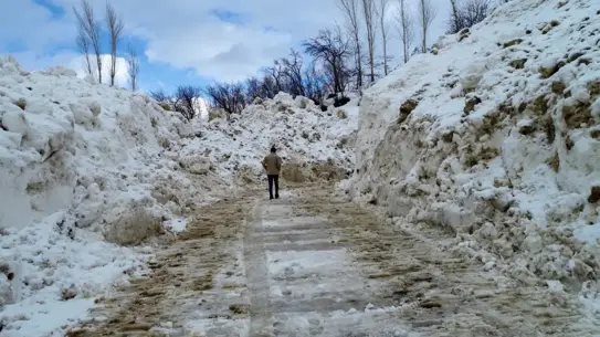 Çatak'ta çığ sonrası yol çalışması