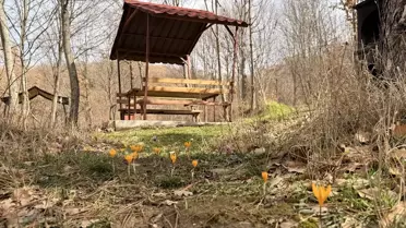 Yeşil Göl Baharı Karşılarken Renk Cümbüşü Yaşanıyor