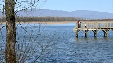 Efteni Gölü Kuş Cenneti: Doğaseverlerin Yeni Hafta Sonu Rotası