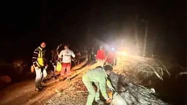 Muğla’da Şiddetli Fırtına: Bodrum ve Marmaris’te Ağaçlar Yere Düşerken 1 Yaralı