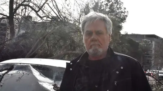 Şiddetli Rüzgar Menemen'de Ağaçları Yere Döktü, Birçok Araç Hasar Aldı